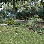 Friedfeld Nieder-Eschbach Gewann 2
